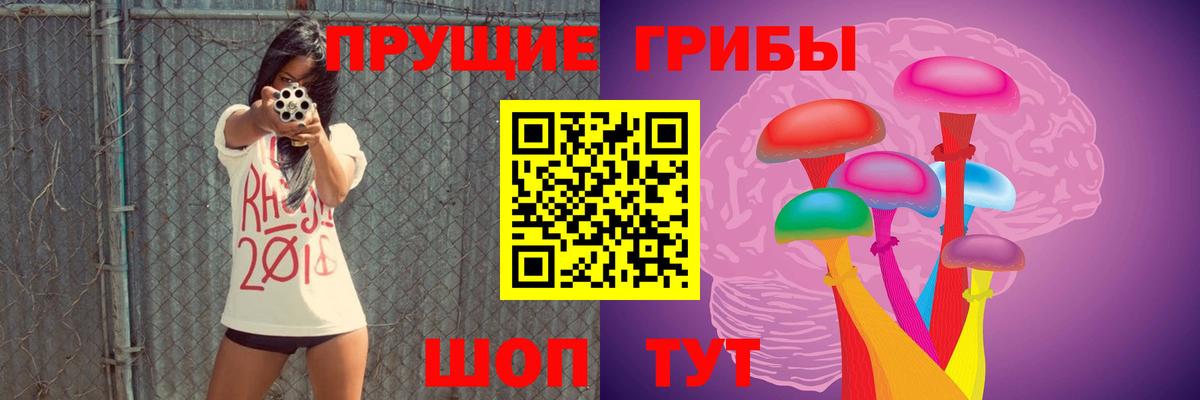 Псилоцибиновые грибы Psilocybe Чапаевск
